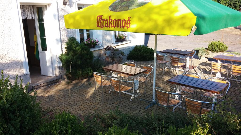 Pension U Milana Dvůr Králové nad Labem Екстериор снимка